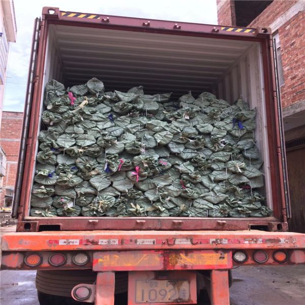 Italian Dome 20mm Mop Stick Wooden For Rake