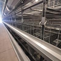 Máquina de alimentación automática del cinc-Alu para las aves de corral, sistema de alimentación de la parrilla del SGS 1.2m m