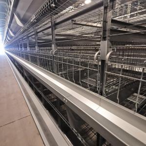 Machine de alimentation automatique de zinc-Alu pour la volaille, système de