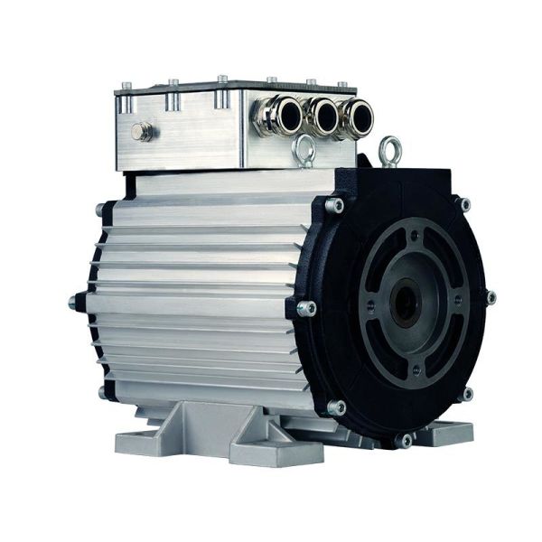 Advanced 15kW AC motor for Electric loader oil pump motor