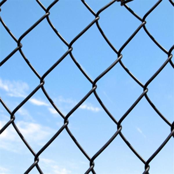 PVC Coated Green Chain Link Fence Welded Iron Wire Mesh for Garden Outdoor