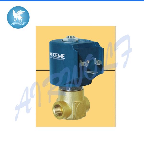 CEME9934 2/2 Way Steam Application Water Solenoid Valves 1/4 Inch