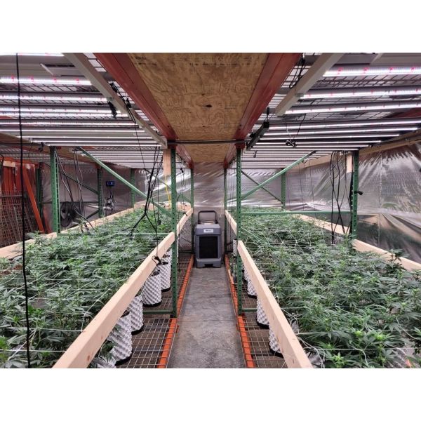 La horticultura completa LED del espectro 1200W crece la aleación de aluminio ligera para las plantas