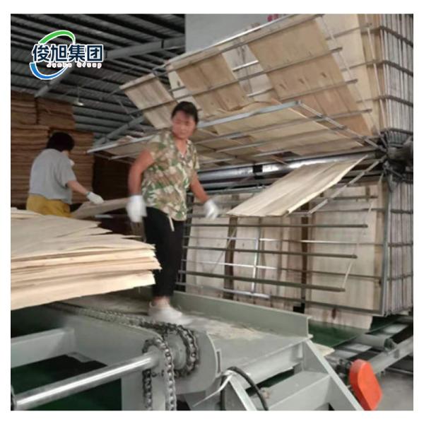 22.00KW Advanced Drying Technology Wood Veneer Dryer For Your Manufacturing Needs