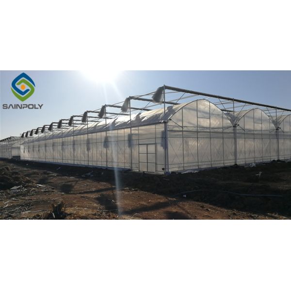 0.50KN/M2 200 Micron Polyethylene Film Greenhouse