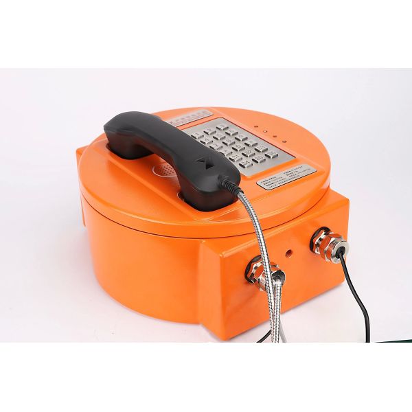 Aluminium Alloy Enclosure Explosion Proof Telephone with Strong Noise Canceling and IP66 Protection for Hazardous Areas