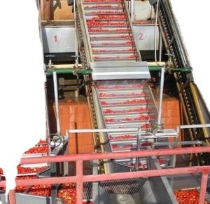 316/304 de máquina de aço inoxidável da esterilização com temperatura 150℃ e