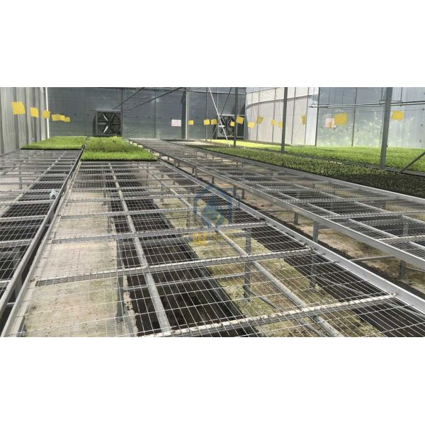 Indoor Greenhouse Rolling Benches Corrosion Resistant Rolling Benches For Growing