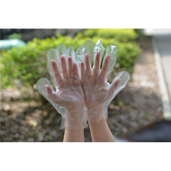 Ясные перчатки Hdpe обработки пищевых продуктов 1.0g/Piece устранимые