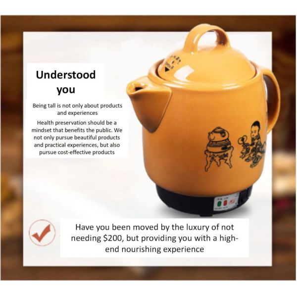 Portable Health Pot Decocting Traditional Chinese Medicine with and No Harmful Chemicals