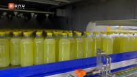 Appareil de pasteurisation de bouteilles en plastique