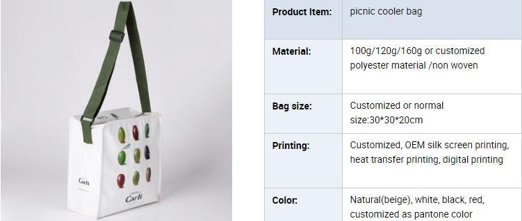 Не сплетенный изготовитель Филиппины сумок/сумки Индии/kolkata сплетенные PP повторно используя biodegradable сплетенные сумки, bagease, пакет, PA