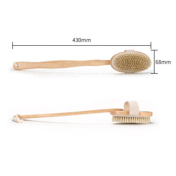 OEM Detachable Long Handle Body Scrub Brush Dry Skin Cellulite Treatment