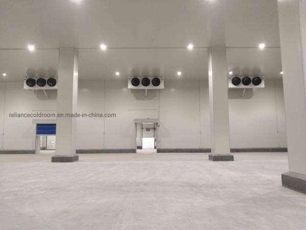 Personnalisation Refroidisseur à pied réfrigérateur de stockage à froid congélateur avec réfrigérant au freon