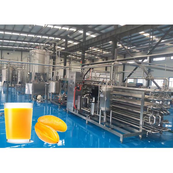 Multi-Product Mango Processing Line – Puree, Juice, and Dried Fruit from One Integrated System