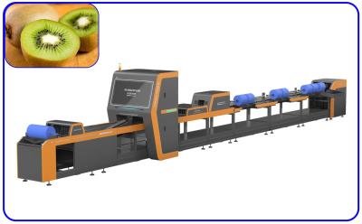 Controle de computador do canal de Kiwi Intelligent Fruit Sorting Equipment 380V 1