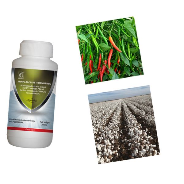 HaNPV Bt Bio Pesticide for Cotton Pests Killer with 10 million PIB/mL HaNPV