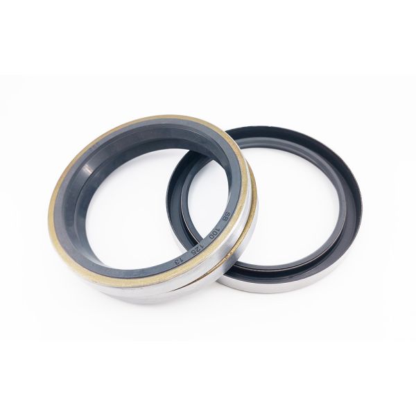 Double Lip Oil Seals Hydraulic Pump Oil Seal Rubber Mechanical O Ring Seals