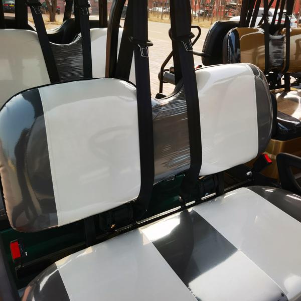 Carrinho de golfe elétrico 110v 6 lugares 40mph alta eficiência com bateria de lítio
