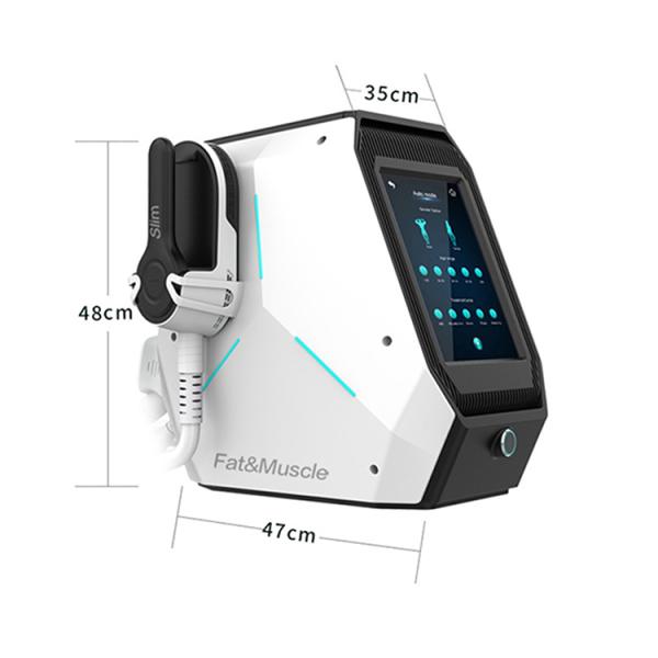 Two Handles Desktop Emslim Machine Fat Loss Body Shaping slim beauty machine