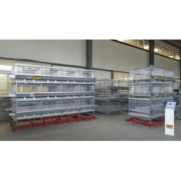 Тип клетка h цыпленка мяса 500cm2, оборудование птицы бройлера ярусов ISO9001 3/4