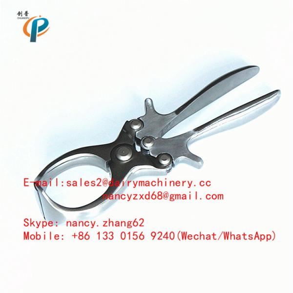 Stainless Steel Bloodless Castrator for Livestock Pig Castrating Forceps Quick and Effective
