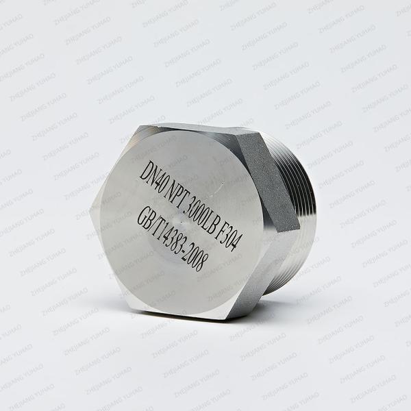 Hexagonal 304L Stainless Steel Forged Pipe Fittings Gas SS Hex Plug