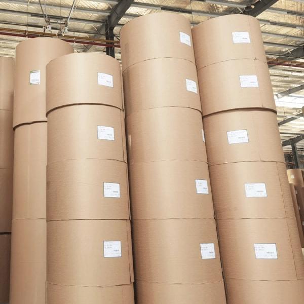 Rollo de papel recubierto de PLA biodegradable para soluciones de embalaje de alimentos