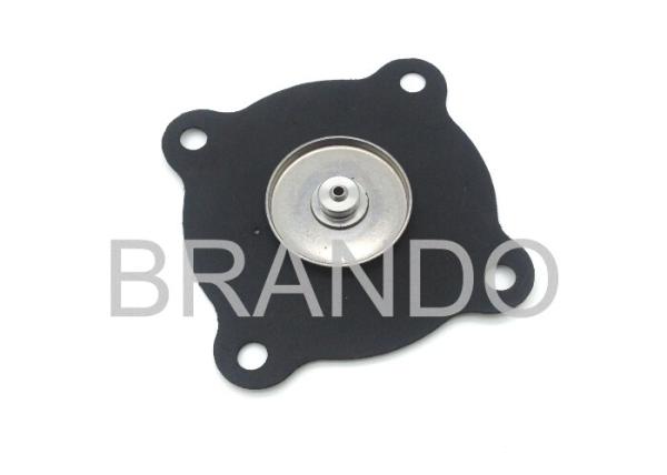 2W250-25 Stainless Steel Viton Diaphragm For 1 Inch Water Solenoid Valve