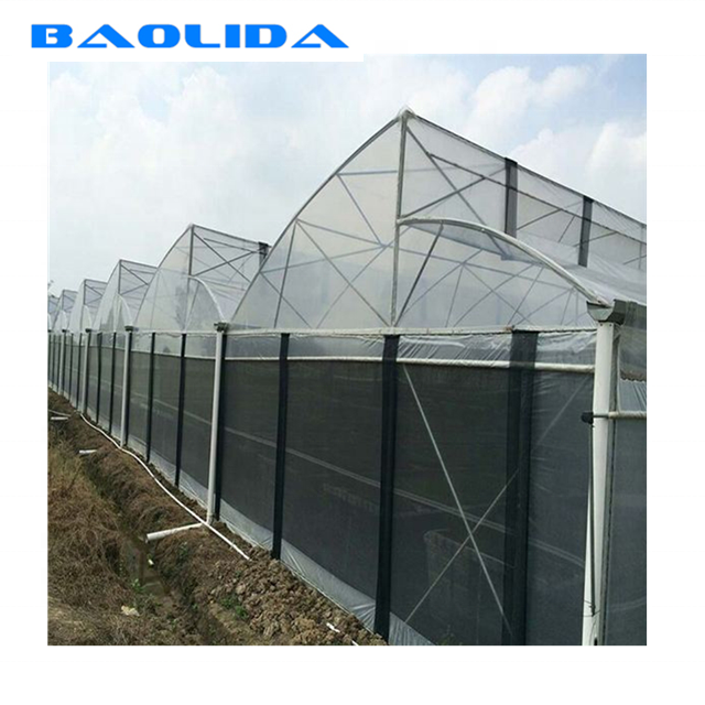 Парник высокой Multi пяди сильный пластиковый увидел вентиляцию крыши зуба