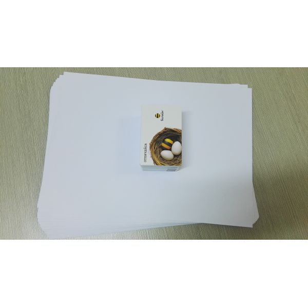 Анти- старея лист Pvc 0.40mm 4.5N/Cm напечатанный для принтера MGI
