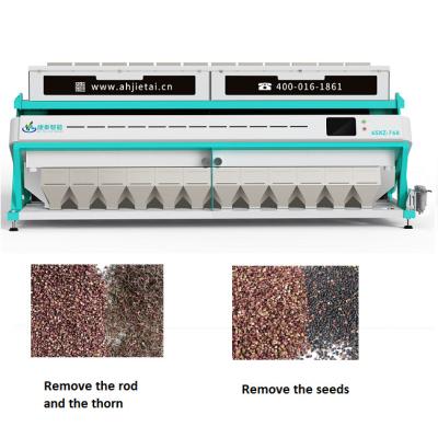 Máquina de classificação de cores de pimenta inteligente em grande escala Fabricante 11T/H - 19T/H