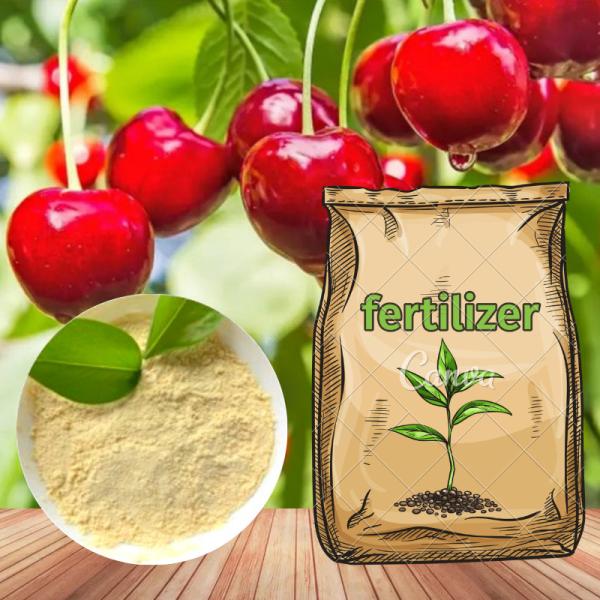 Solubilidade em água Aminal Aminoácido Quelato Boro Fertilizante Orgânico Para Culturas de Campo