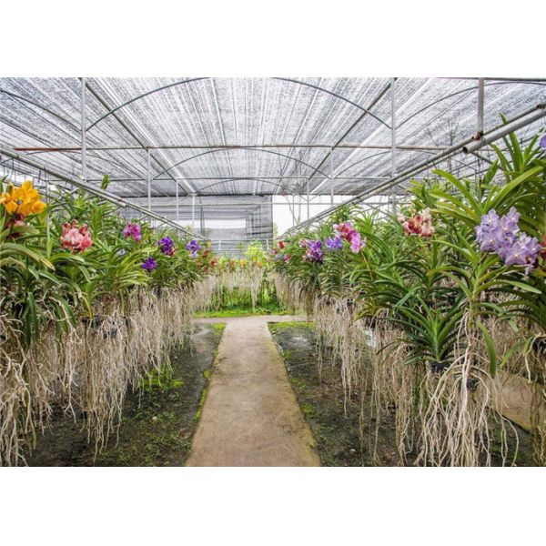 Fish Farming Garden Glass Greenhouse Strong Drainage Capacity 8m*4m Dimension