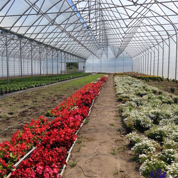 Полиэтиленовая пленка Hydroponic растущего парника пяди системы Multi затеняя сеть