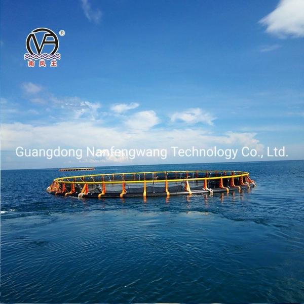 Deep Sea Aquaculture HDPE Super Strong Cage with Design and 450mm Floating Pipe