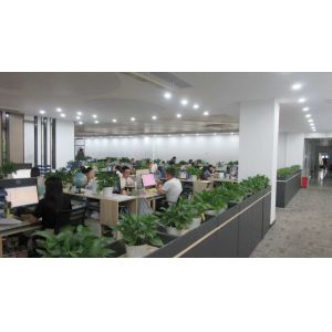 E-Panda New Energy Co., Ltd.