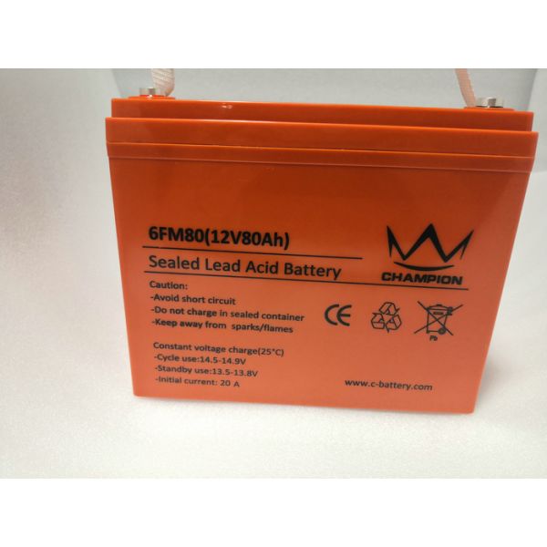 Multifunctional 12 Volt Sealed Lead Acid Battery , Agm Vrla Batteries