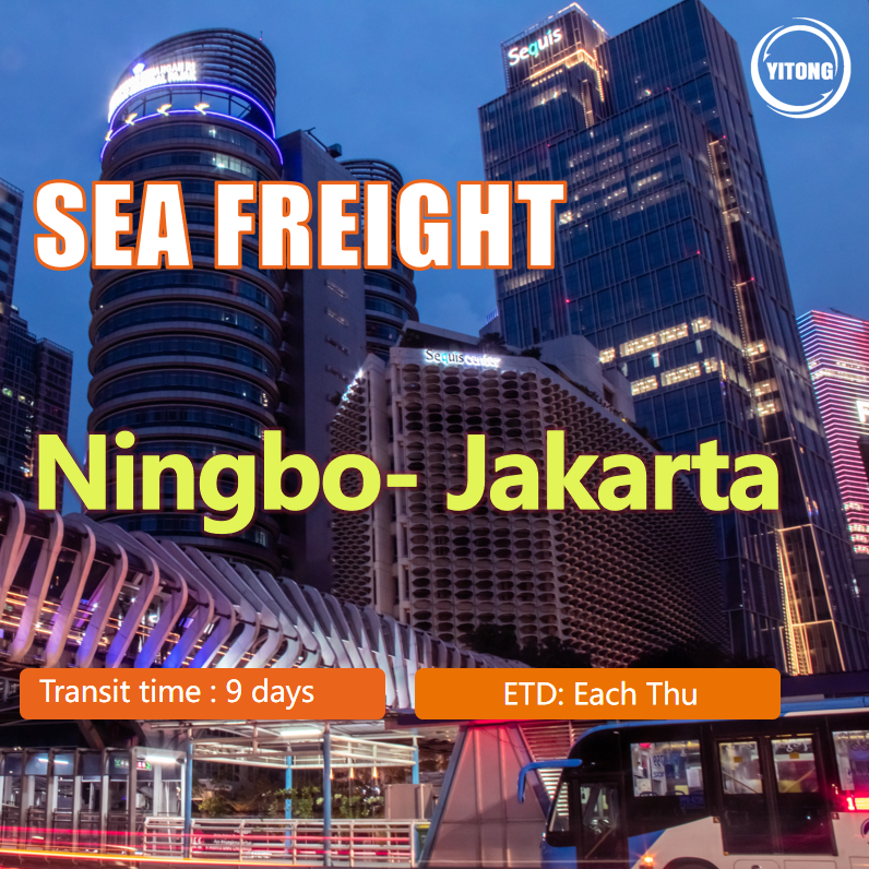 NVOCC ISEA 9 Days Worldwide Sea Freight From China To Indonesia Jakarta