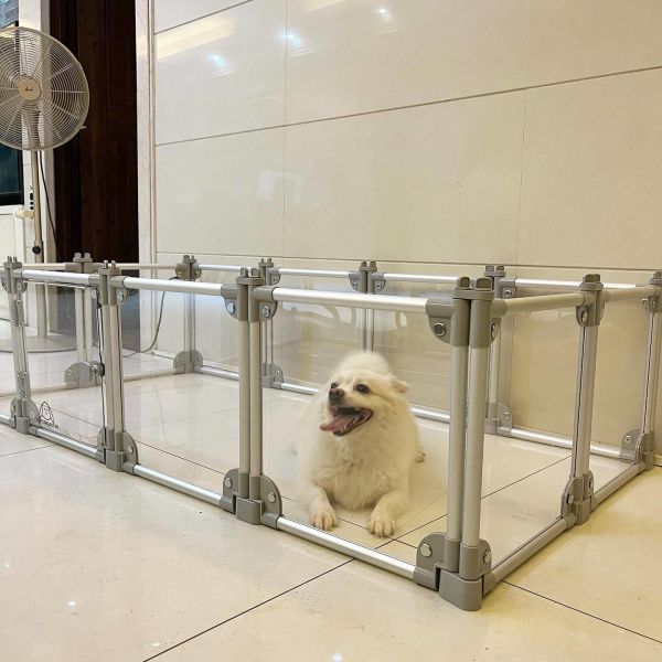 Устойчивая к ударам черная прозрачная акриловая ручка для собак для щенков и кошек