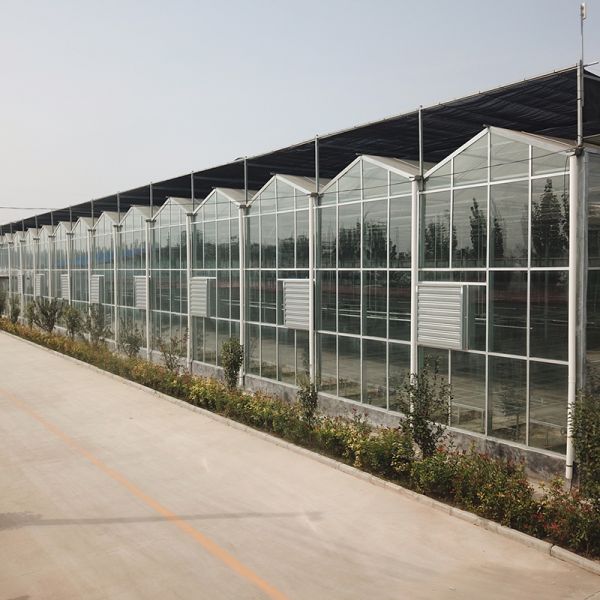Large Size Transparent Glass Greenhouse Super Strong Resistance and Hydroponics System