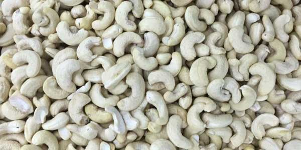 Steel Frame Model S5 Cashew Nuts Kernel Color Sorter Nuts Sorting Machine