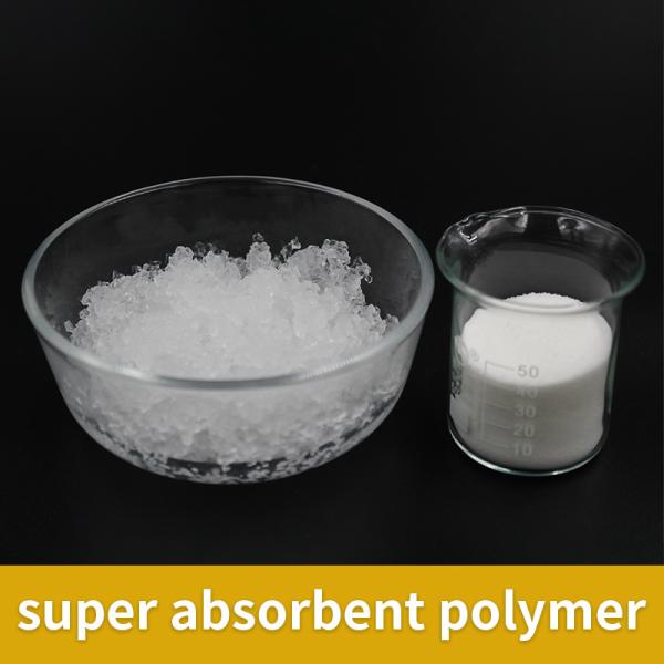 Sodium Polyacrylate Powder Super Absorbent Polymer SAP 99.9% Purity