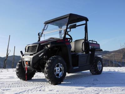 Veículos utilitários Tiltable do gás do guincho do carregador de UTV 250 com Efi - vermelho, Windsheild e barra de reboque