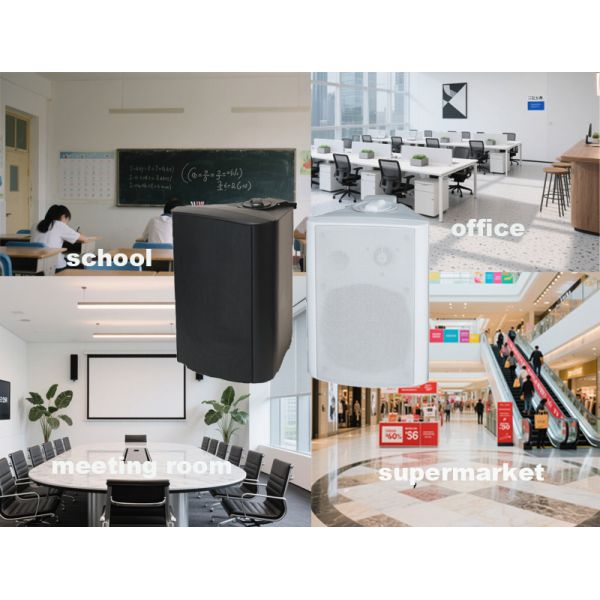 Enceinte murale Hi-fi durable 40W 100V avec woofer de 6 pouces, matériau ABS CE OEM ODM pour hôtel