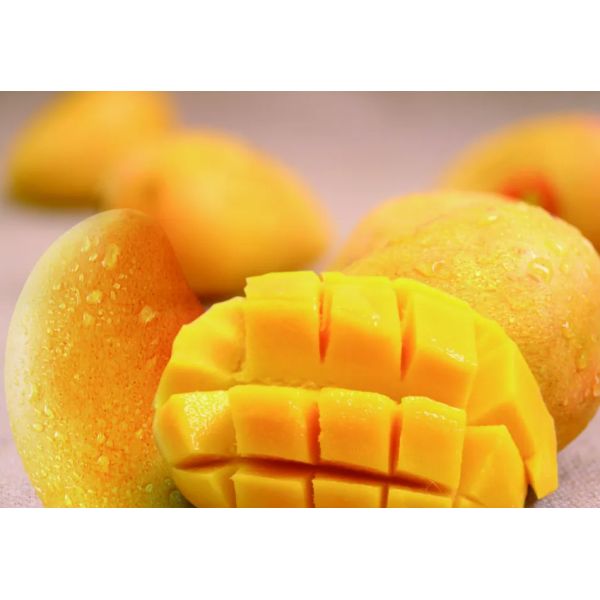 Завод по обработке 2t/H манго сока малого масштаба свежий