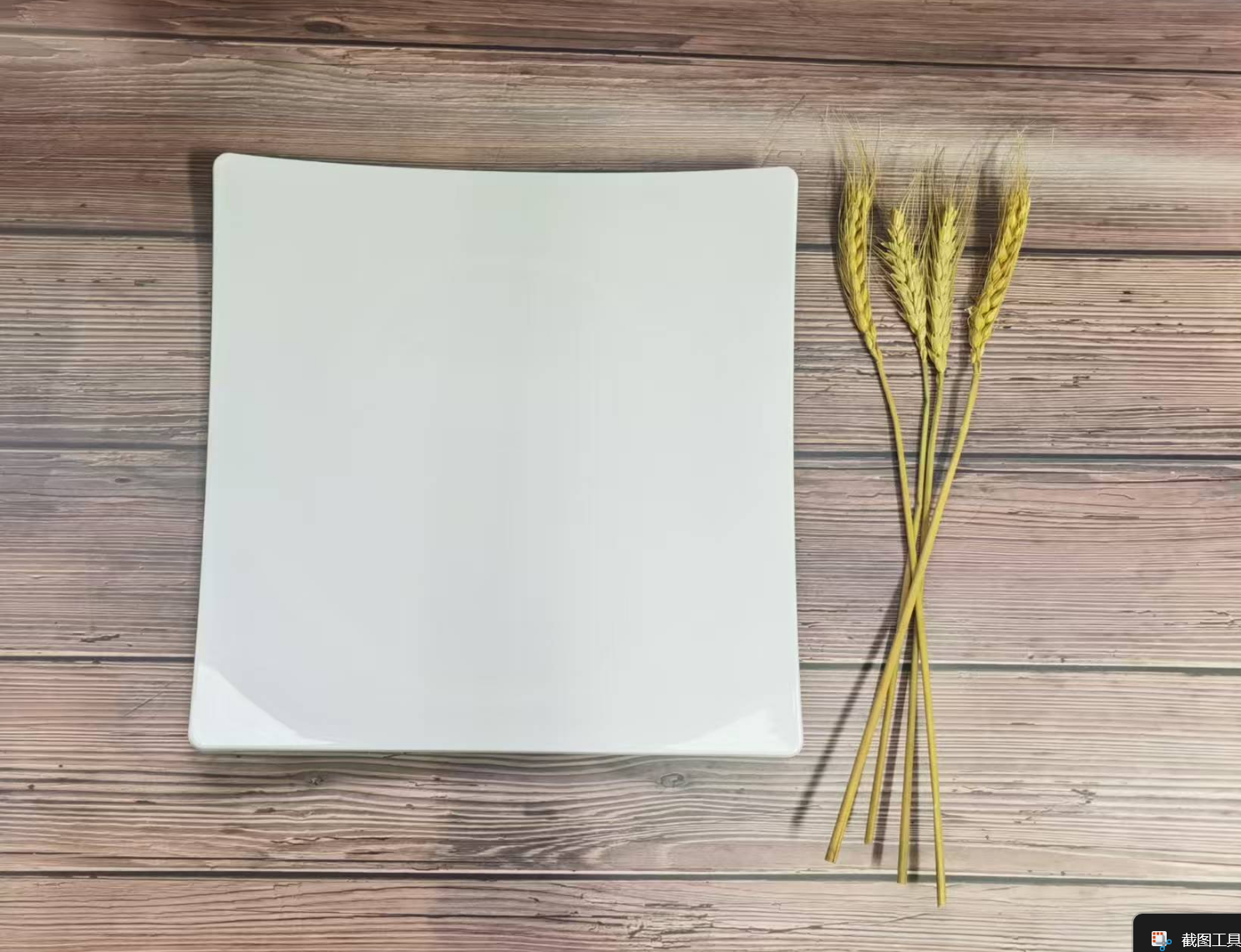 White High Temperature PET Tableware Buffet Plate Size M 25.3 X 25.3 X 1.8cm