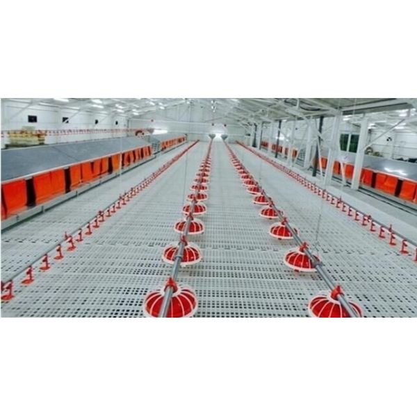 Прочный настил предкрылка птицы утенка цыпленка