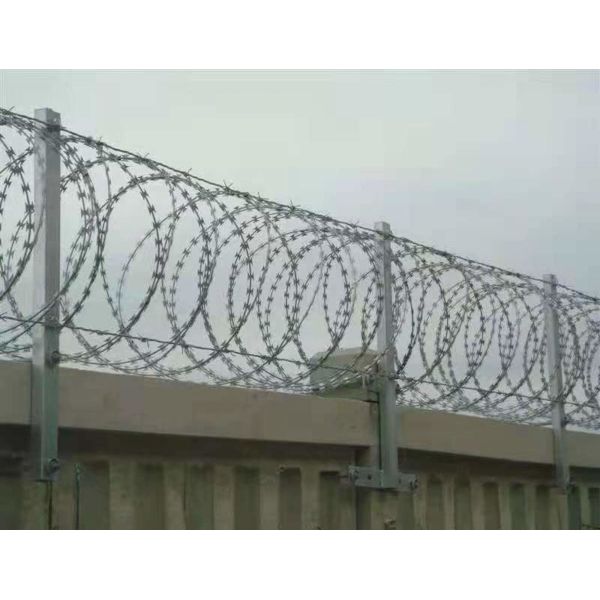 Stainless Steel Razor Barbed Wire Straight Razor Blade Barbed Wire Grass Green