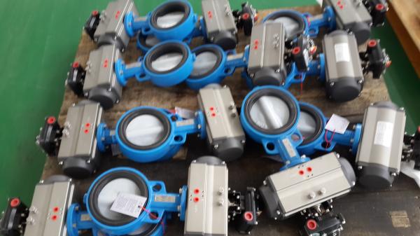 Single Acting Actuator And Double Acting Actuator With Spring Return